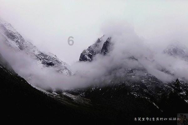 动物帮帮忙保卫家园